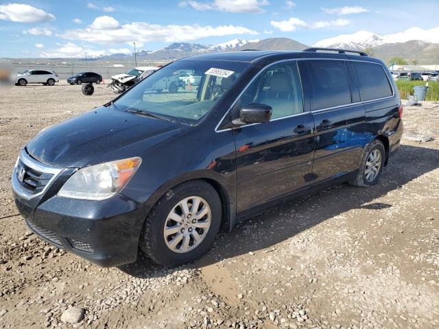 HONDA ODYSSEY EX 2008 with VIN 5FNRL38758B086095 - Photo from auction