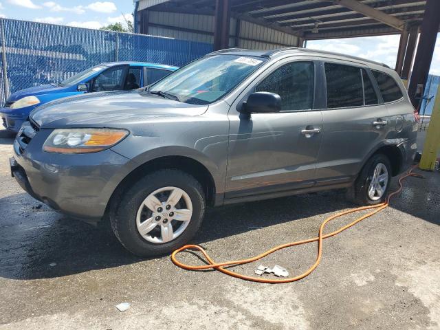 HYUNDAI SANTA FE G 2009 with VIN 5NMSG13D59H308612 - Photo from auction