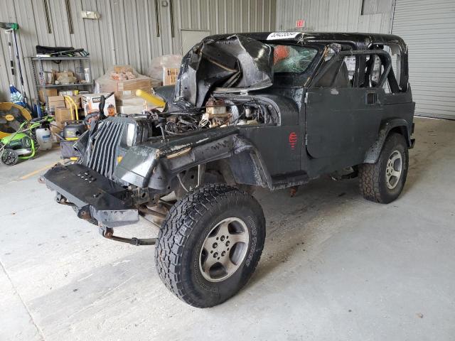 JEEP WRANGLER 1995 with VIN 1J4FY19PXSP255378 - Photo from auction