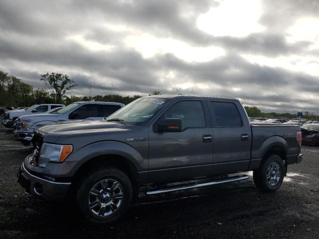 FORD F150 SUPER 2010 with VIN 1FTEW1E86AFD66553 - Photo from auction