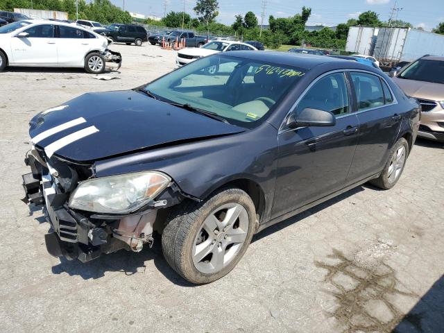 CHEVROLET MALIBU LS 2011 with VIN 1G1ZB5E13BF301242 - Photo from auction