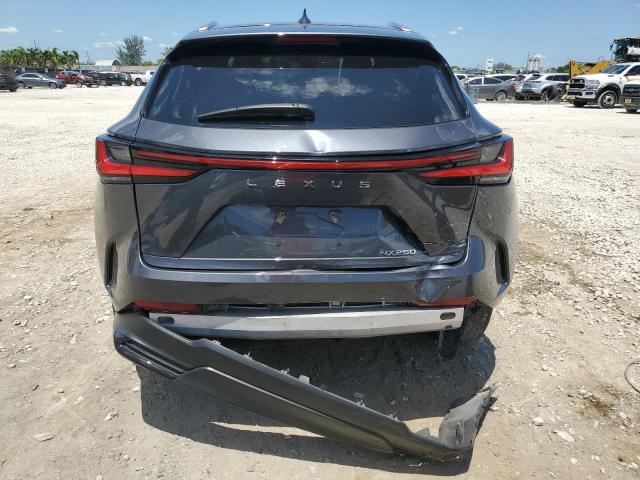 صورة رقم 6 من المزاد - 2023 LEXUS NX 250 مع VIN 2T2ADCAZXPC005645