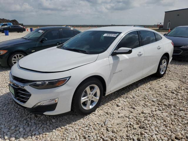 CHEVROLET MALIBU LS 2024 with VIN 1G1ZB5ST7RF140801 - Photo from auction
