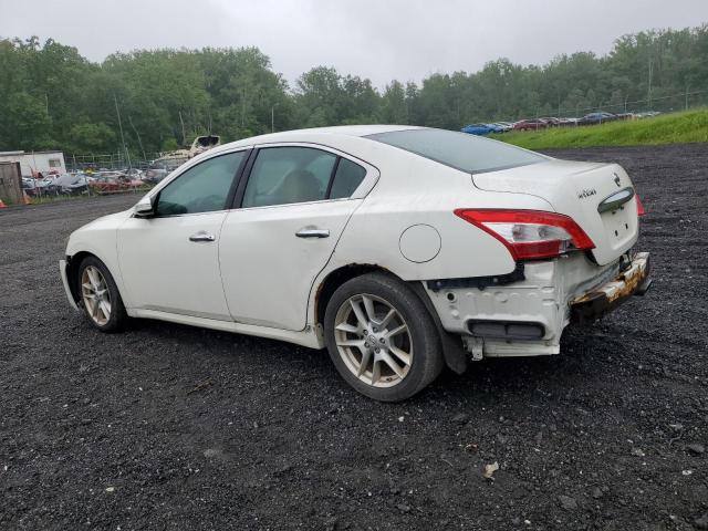 Photo 2 from auction – 2009 NISSAN MAXIMA S with VIN 1N4AA51E89C804282