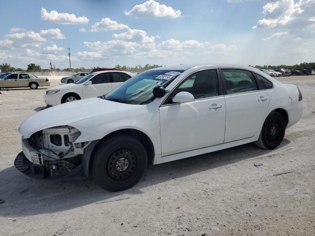 CHEVROLET IMPALA POL 2011 with VIN 2G1WD5EM2B1206654 - Photo from auction