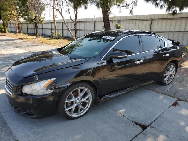 NISSAN MAXIMA S 2010 with VIN 1N4AA5AP5AC873985 - Photo from auction