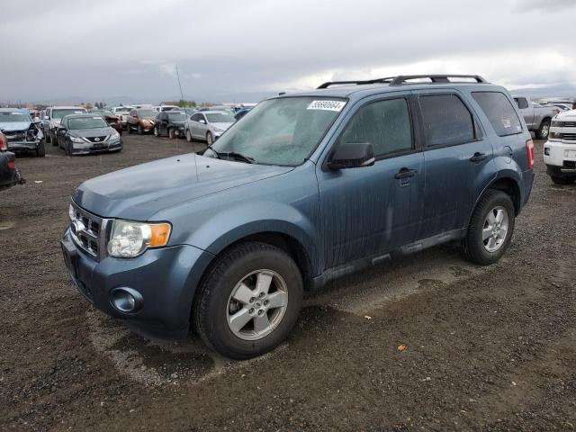 FORD ESCAPE XLT 2011 with VIN 1FMCU9DG0BKA08714 - Photo from auction