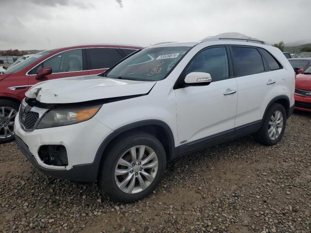 Photo 1 from auction – 2011 KIA SORENTO BA with VIN 5XYKTDA28BG123033