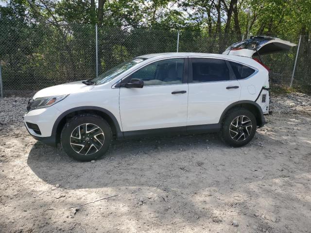 Photo 1 from auction – 2016 HONDA CR-V SE with VIN 5J6RM4H41GL025745