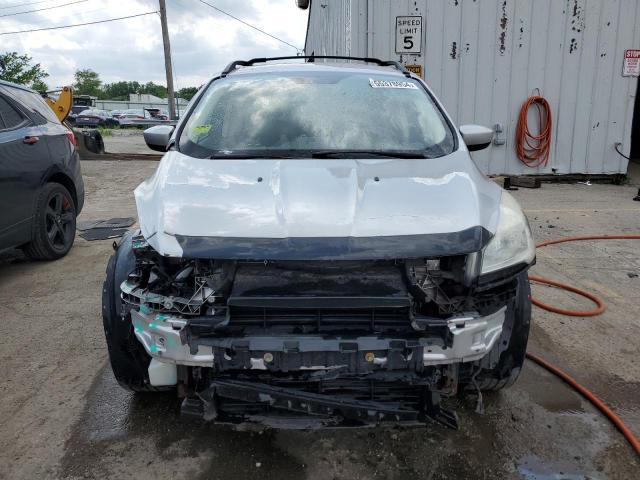 Photo 5 from auction – 2013 FORD ESCAPE SE with VIN 1FMCU0GX0DUB18368