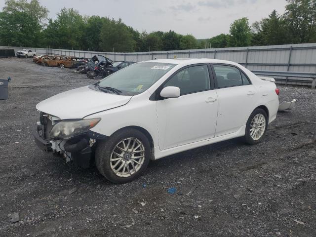 TOYOTA COROLLA BA 2010 with VIN 2T1BU4EE7AC244213 - Photo from auction