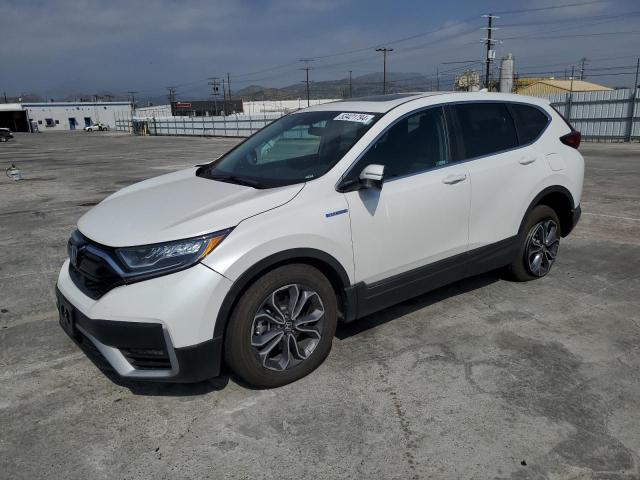 HONDA CR-V EX 2022 with VIN 5J6RT6H5XNL033301 - Photo from auction