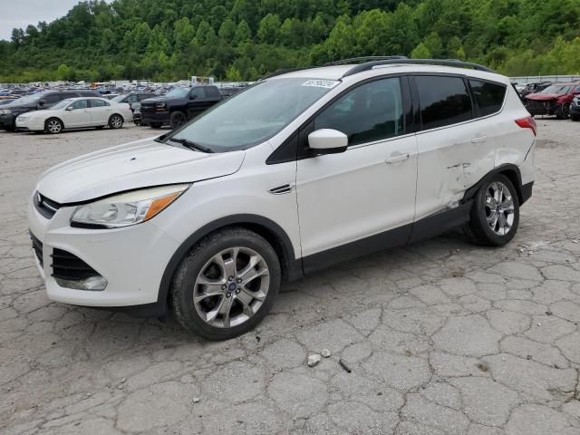 FORD ESCAPE SE 2014 with VIN 1FMCU9GX4EUA36925 - Photo from auction