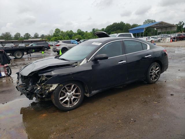 NISSAN MAXIMA S 2009 with VIN 1N4AA51E99C835203 - Photo from auction