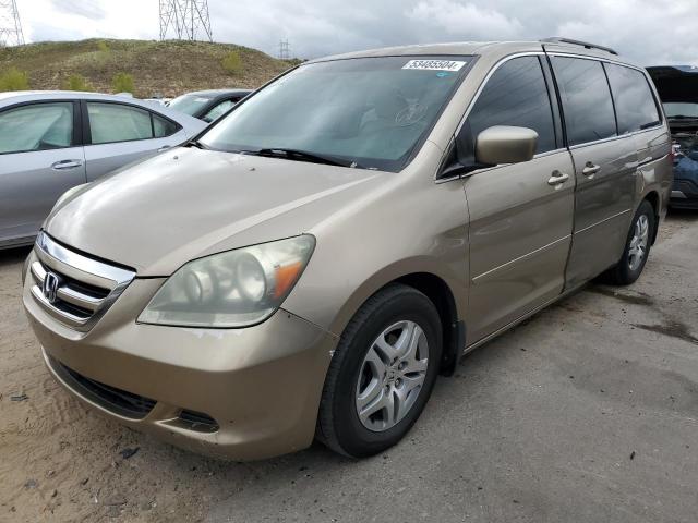 HONDA ODYSSEY EX 2005 with VIN 5FNRL38645B027008 - Photo from auction