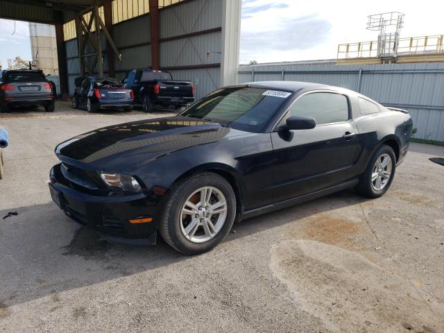 FORD MUSTANG 2012 with VIN 1ZVBP8AM1C5249481 - Photo from auction