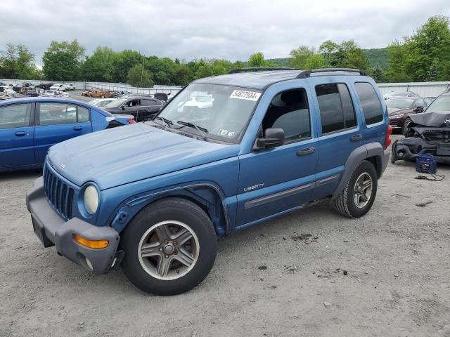 Photo 1 from auction – 2004 JEEP LIBERTY with VIN 1J4GL48K54W102961