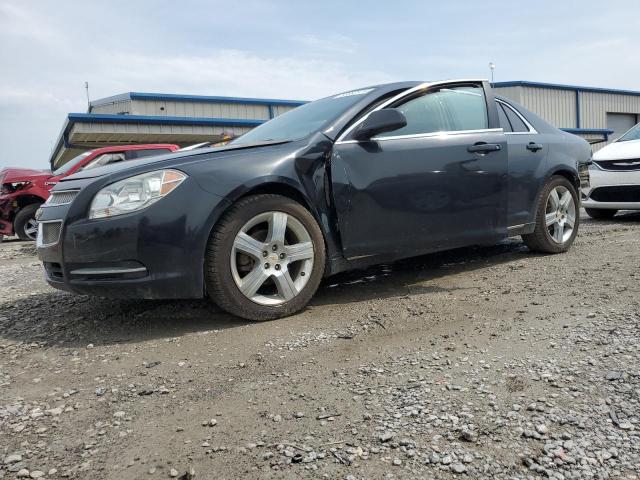 CHEVROLET MALIBU 2LT 2011 with VIN 1G1ZD5E13BF367977 - Photo from auction