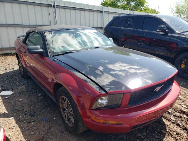Photo 4 from auction – 2005 FORD MUSTANG with VIN 1ZVFT84N955209010