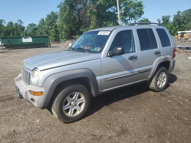 JEEP LIBERTY SP 2002 with VIN 1J4GL48KX2W151067 - Photo from auction