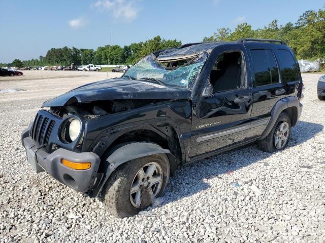 Photo 1 from auction – 2002 JEEP LIBERTY SP with VIN 1J4GL48K62W341268