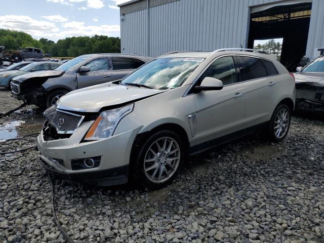 CADILLAC SRX PERFOR 2014 with VIN 3GYFNFE3XES528396 - Photo from auction