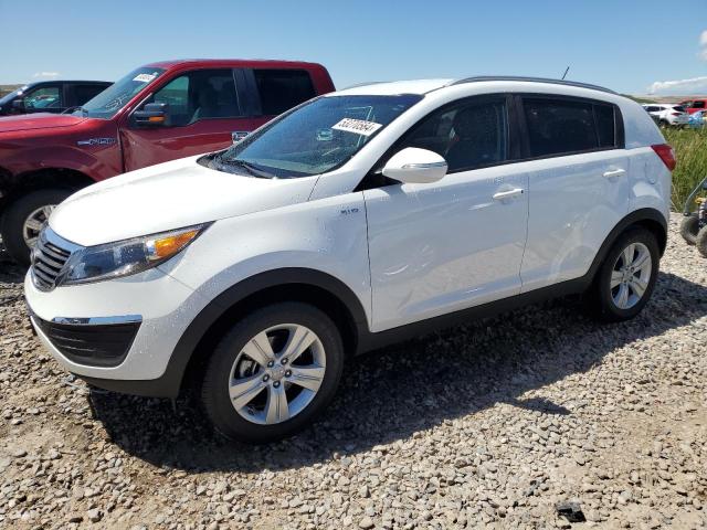 KIA SPORTAGE L 2013 with VIN KNDPBCA2XD7505891 - Photo from auction