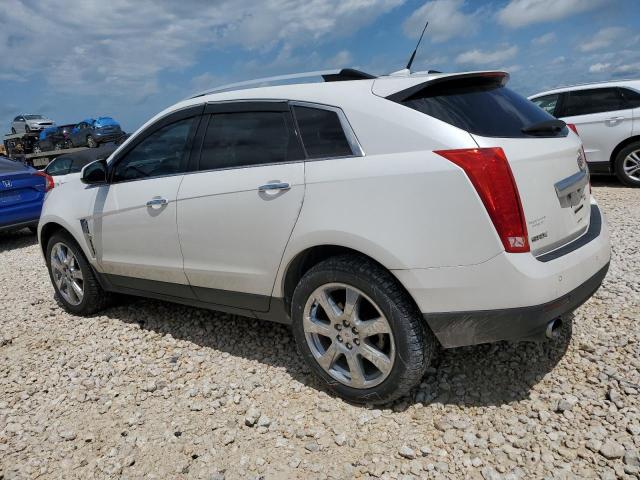 Photo 2 from auction – 2010 CADILLAC SRX PERFOR with VIN 3GYFNBEY4AS518980