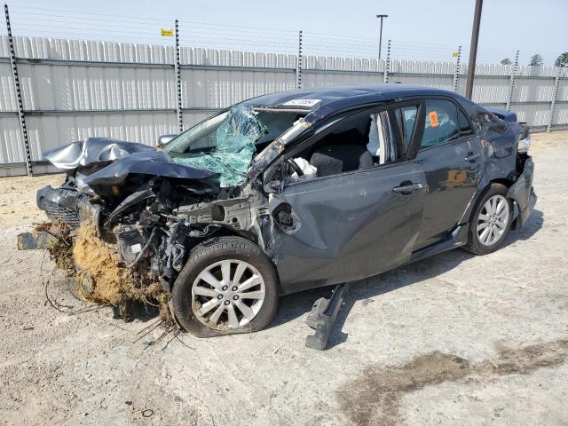 Zdjęcie 1 z aukcji – 2010 TOYOTA COROLLA BA z VIN 2T1BU4EE6AC454639