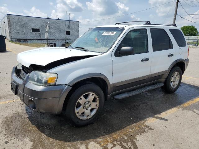 FORD ESCAPE XLT 2006 with VIN 1FMYU03166KC81273 - Photo from auction