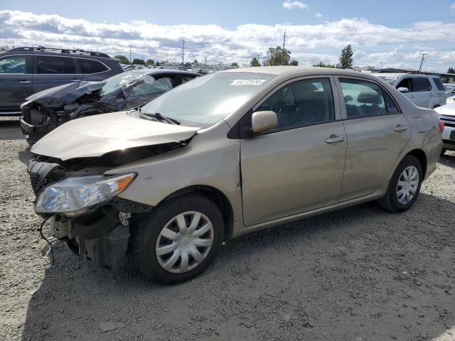 TOYOTA COROLLA BA 2010 with VIN 2T1BU4EE2AC434307 - Photo from auction