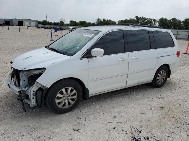 HONDA ODYSSEY EX 2009 with VIN 5FNRL38499B060381 - Photo from auction