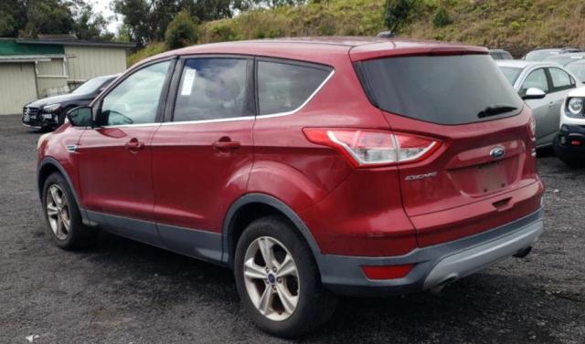 Photo 2 from auction – 2014 FORD ESCAPE SE with VIN 1FMCU9GX2EUC31499