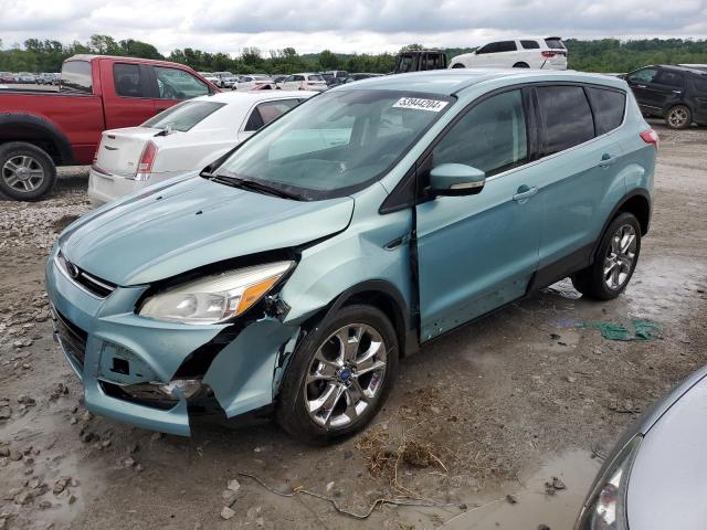 FORD ESCAPE SEL 2013 with VIN 1FMCU0H93DUC09960 - Photo from auction