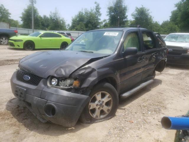FORD ESCAPE XLT 2006 with VIN 1FMCU03176KC25191 - Photo from auction