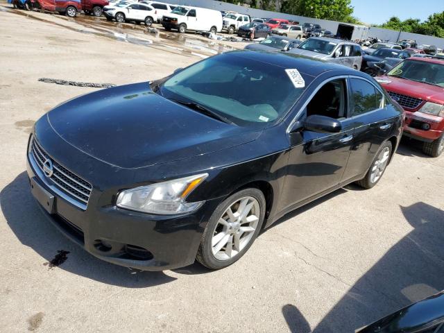 NISSAN MAXIMA S 2009 with VIN 1N4AA51E09C853265 - Photo from auction