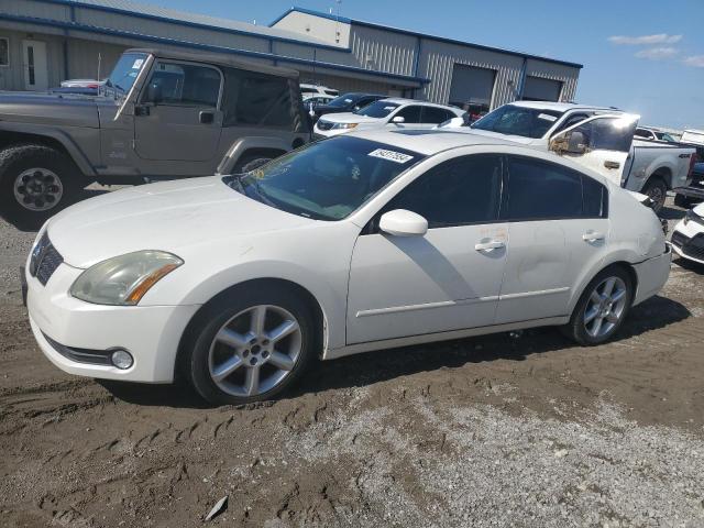 NISSAN MAXIMA SE 2006 z numerem VIN 1N4BA41E46C834230 - Zdjęcie z aukcji
