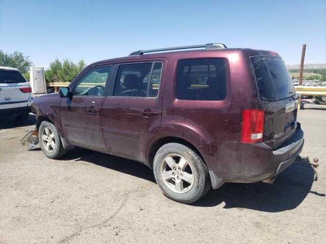 Photo 2 from auction – 2010 HONDA PILOT EXL with VIN 5FNYF4H55AB022667