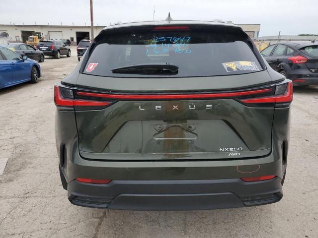 Фото 10 с аукциона – 2023 LEXUS NX 250 с VIN 2T2ADCEZ7PC003362