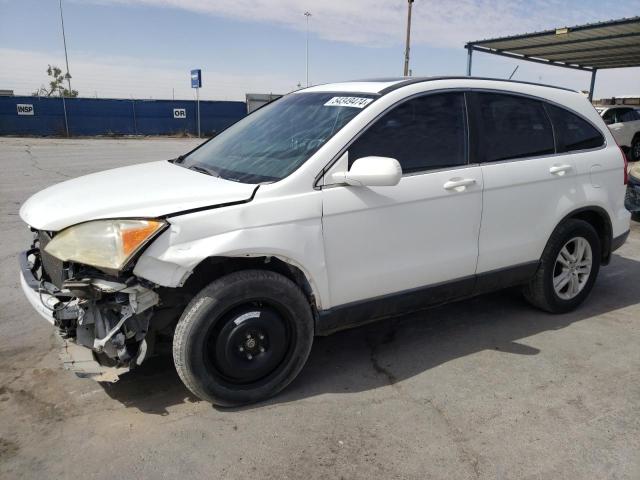 Photo 1 from auction – 2011 HONDA CR-V EXL with VIN JHLRE4H71BC013376