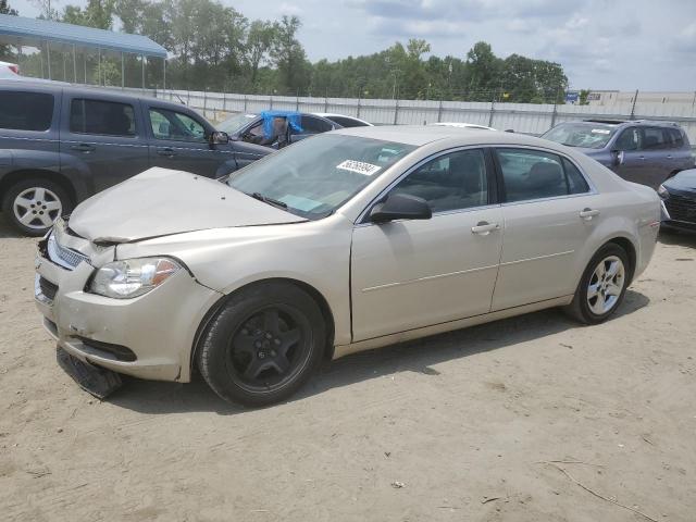CHEVROLET MALIBU LS 2012 with VIN 1G1ZB5E01CF206090 - Photo from auction