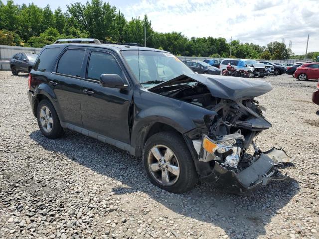 Photo 4 from auction – 2011 FORD ESCAPE LIM with VIN 1FMCU0EG4BKA43217