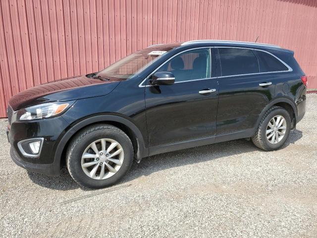 KIA SORENTO LX 2016 with VIN 5XYPG4A18GG074439 - Photo from auction