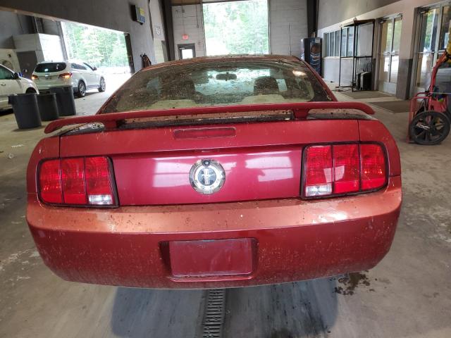 Photo 6 from auction – 2005 FORD MUSTANG with VIN 1ZVFT80NX55178047