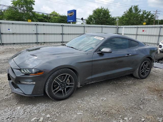 FORD MUSTANG 2019 with VIN 1FA6P8TH8K5181298 - Photo from auction