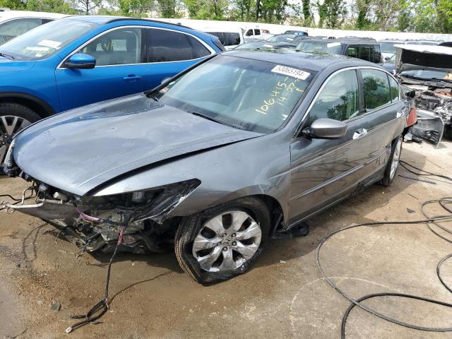 HONDA ACCORD EXL 2010 with VIN 5KBCP3F84AB001339 - Photo from auction