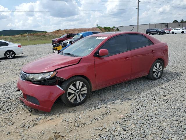 KIA FORTE EX 2013 with VIN KNAFU4A23D5669651 - Photo from auction