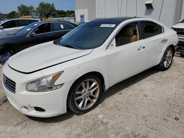 NISSAN MAXIMA S 2011 with VIN 1N4AA5AP5BC809463 - Photo from auction