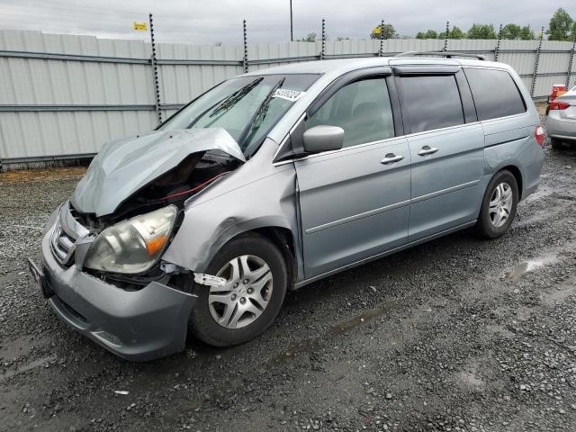 HONDA ODYSSEY EX 2007 with VIN 5FNRL384X7B111996 - Photo from auction