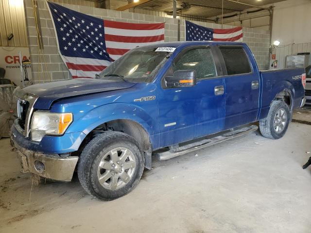 FORD F150 SUPER 2013 with VIN 1FTFW1ET4DKD60075 - Photo from auction